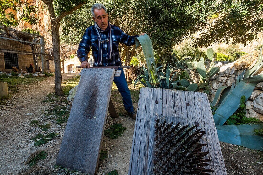 Italien, Sizilien, Cornino, Scurati, Höhle von Mangiapane, Höhlenschäferei und traditioneller Bauernhof, Reiben von Agavenblättern zur Gewinnung von Fasern für die Herstellung von Seilen und Taschen