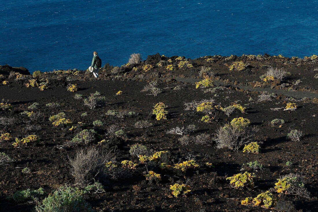 Spain, Canary Islands, La Palma, hiker on a path by the sea in a volcanic environment