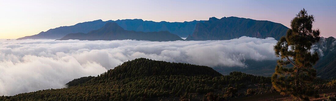 Spain, Canary Islands, La Palma, view of a silhouette of a mountain above a sea of &#x200b;&#x200b;cloud at sunrise