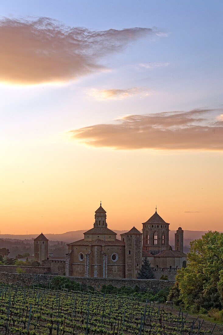 Spanien, Katalonien, Provinz Tarragona, Conca de Barbera comarca, Vimbodi, La ruta del Cister, Kloster Santa Maria de Poblet, von der UNESCO zum Weltkulturerbe erklärt