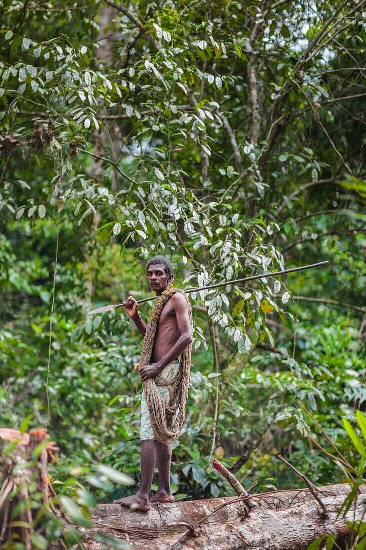 Cameroon, South Region, Ocean Department, Bagyeli village, pygmy man going hunting in the forest, village near the Lobe River