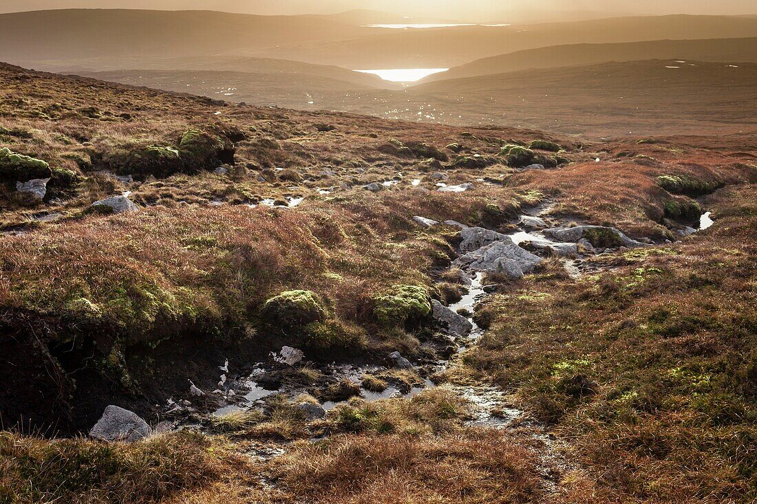 United Kingdom, Scotland, Shetland Islands, Mainland, Ronas Hill, moor, stone, peat and low grass on the highest point of the Shetland Archipelago, rising to 450 meters above sea level