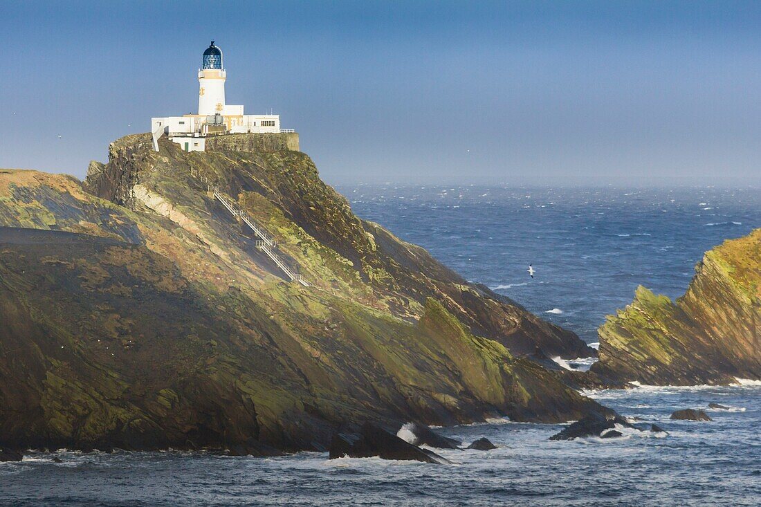 United Kingdom, Scotland, Shetland Islands, Unst island, Hermaness National Nature Reserve, Muckle Flugga, northernmost lighthouse in the United Kingdom