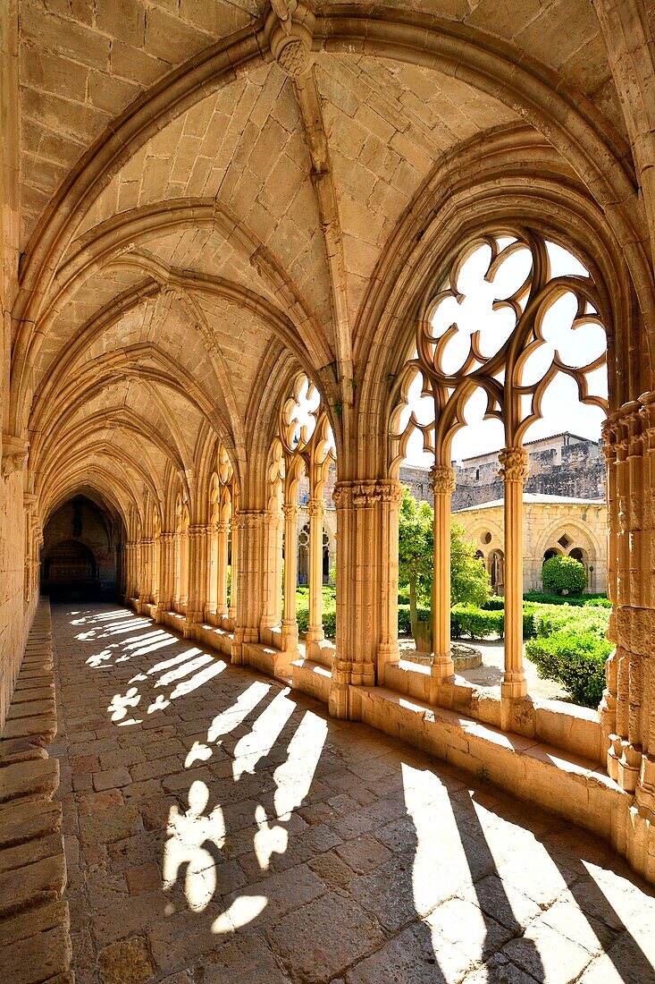 Spain, Catalonia, Tarragona Province, Alt Camp comarca, La ruta del Cister, Aiguamurcia, monastery of Santes Creus, the cloister