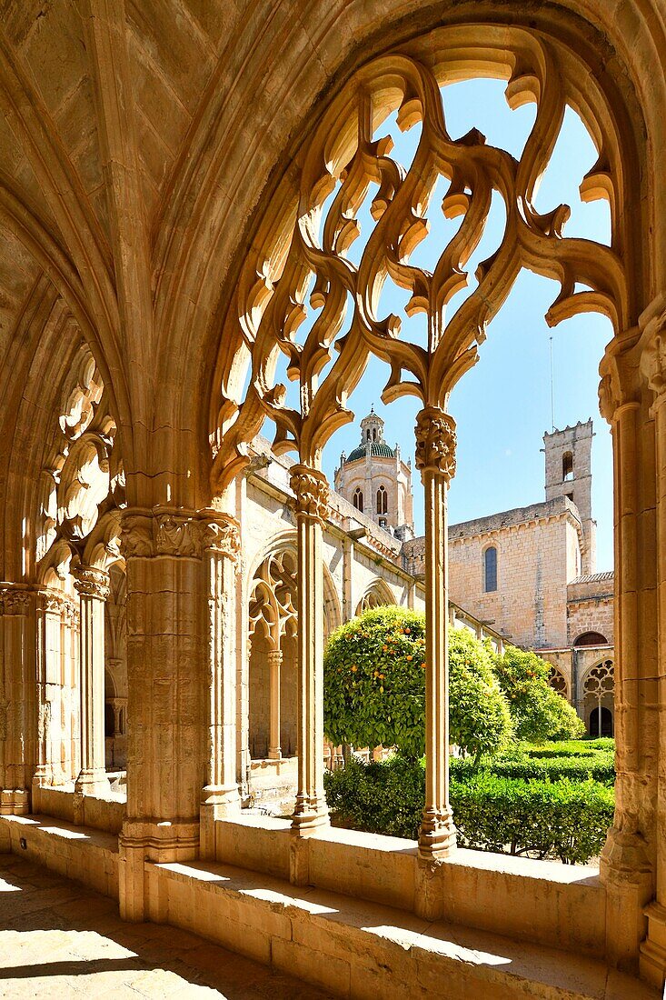 Spain, Catalonia, Tarragona Province, Alt Camp comarca, La ruta del Cister, Aiguamurcia, monastery of Santes Creus, the cloister