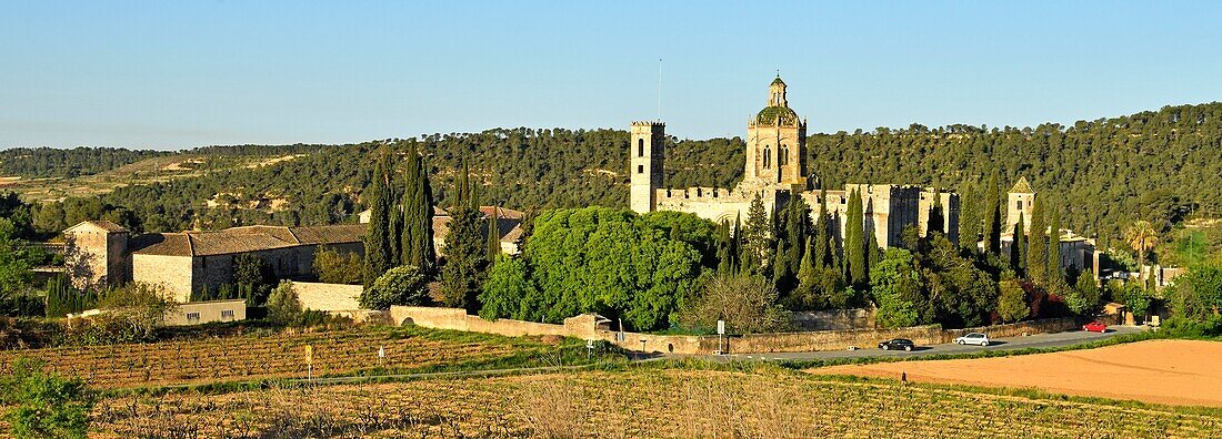 Spain, Catalonia, Tarragona Province, Alt Camp comarca, La ruta del Cister, Aiguamurcia, monastery of Santes Creus