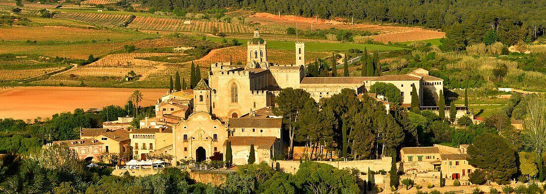 Spain, Catalonia, Tarragona Province, Alt Camp comarca, La ruta del Cister, Aiguamurcia, monastery of Santes Creus