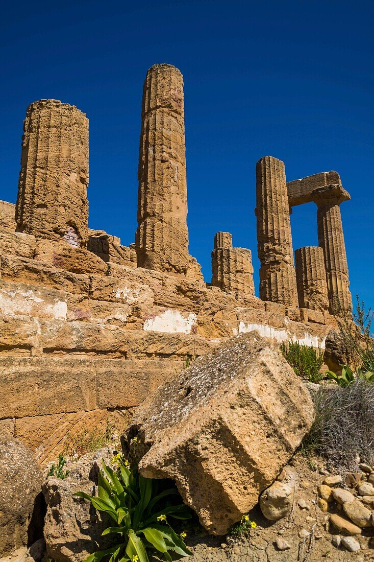 Italien, Sizilien, Agrigente, archäologischer Park des Tals der Tempel, von der UNESCO zum Weltkulturerbe erklärt, Tempel des Junon bei den Römern und der Hera bei den Griechen