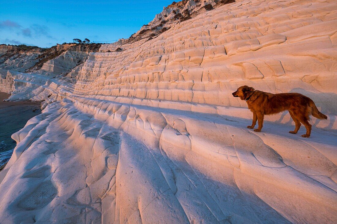 Italy, Sicily, Realmonte, Scala dei Turchi, or Turks stairway, cliff of white limestone overlooking the sea