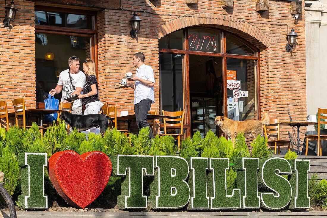 Georgia, Tbilisi, Old Tbilisi or Dzveli Kalaki, bar on Meidan Square