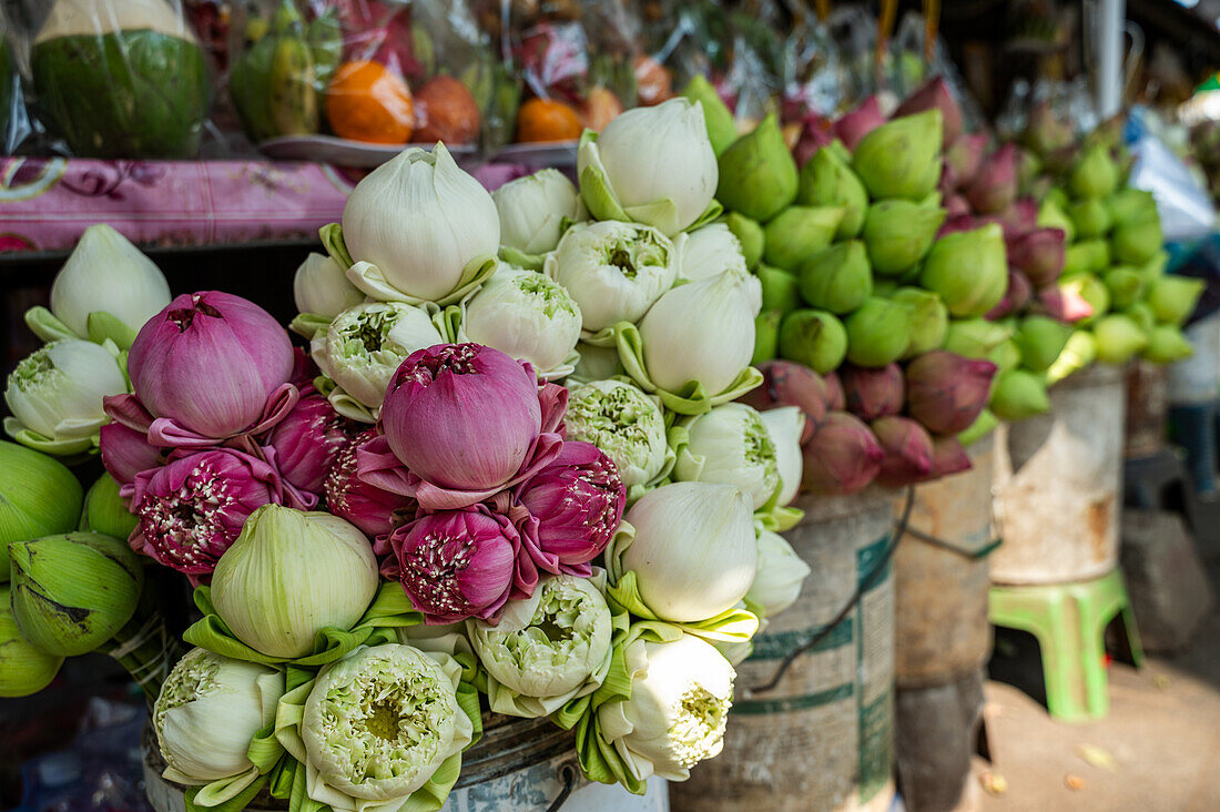 Lebendige Auslage von Lotusblumen mit rosa und weißen Blüten auf einem belebten Straßenmarkt in Bangkok, die der geschäftigen städtischen Umgebung eine natürliche, farbenfrohe Note verleiht.