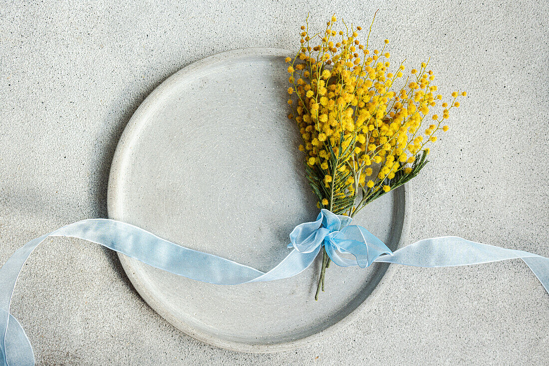 Top view of picturesque bouquet of mimosa flowers, delicately tied with a light blue ribbon, rests on a ceramic plate with a smooth concrete backdrop