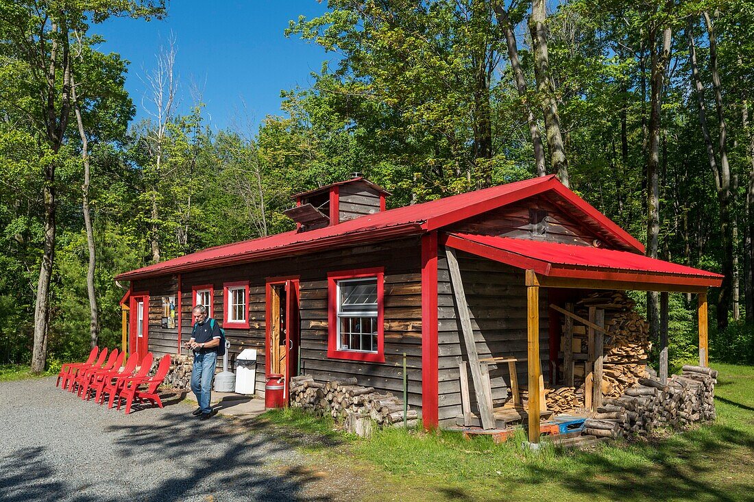 Canada, Quebec, Trois-Rivières, The Sugar Shack Chez Dany