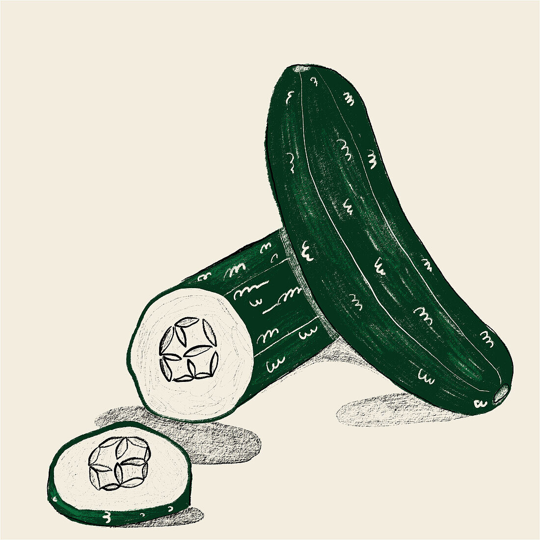 Artistic rendition of fresh cucumbers and slices, showcasing detailed texture in a monochrome green palette.