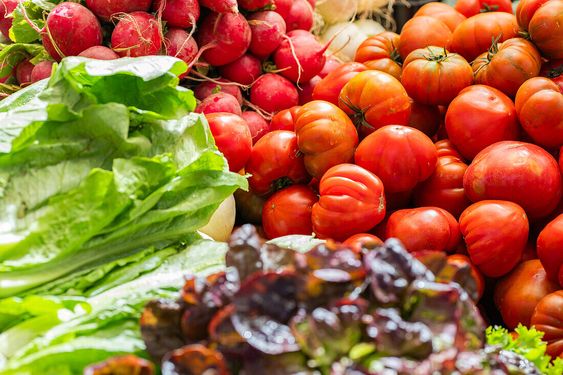 Vibrant assortment of fresh vegetables, featuring ripe tomatoes, radishes, and leafy greens arranged at a market