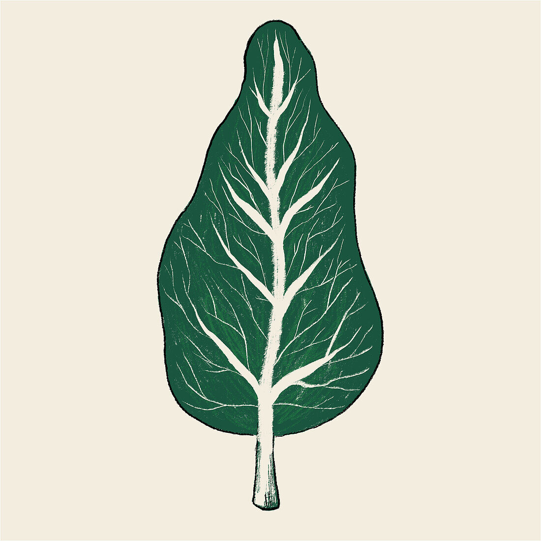 This artful illustration creatively blends the shape of a spinach leaf with that of a pear, showcasing a whimsical twist on botanical art, perfect for a variety of design applications.