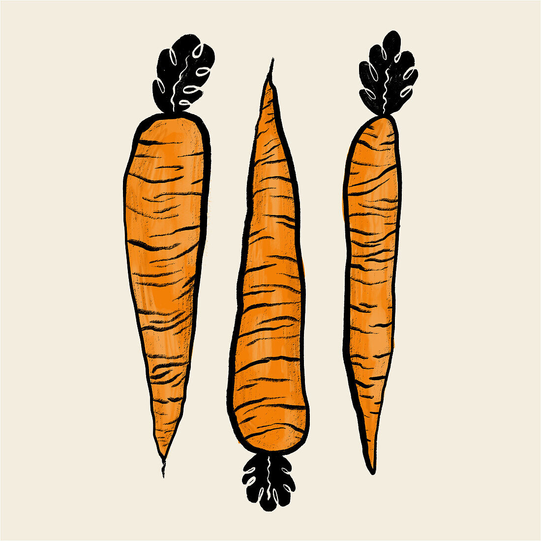 Illustration depicting three varied carrots with artistic lines and leaves.