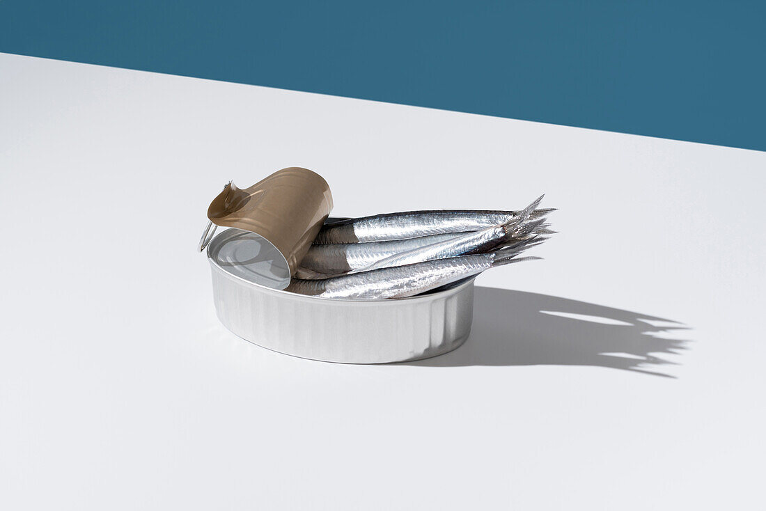 Gleaming fresh anchovies overflow from an unlidded tin can, set against a sharp blue and white divide, casting playful shadows