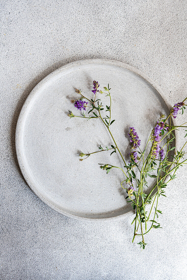 Draufsicht auf einen minimalistisch gedeckten Sommertisch mit einem Keramikteller und zarten lilafarbenen Wildblumen, die ein elegantes, aber schlichtes Design ergeben.