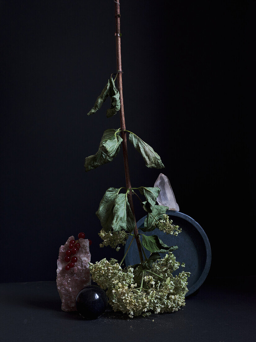 An evocative still life photograph featuring a wilted branch, quartz sphere with red berries, a black sphere, and clusters of dried flowers against a dark background