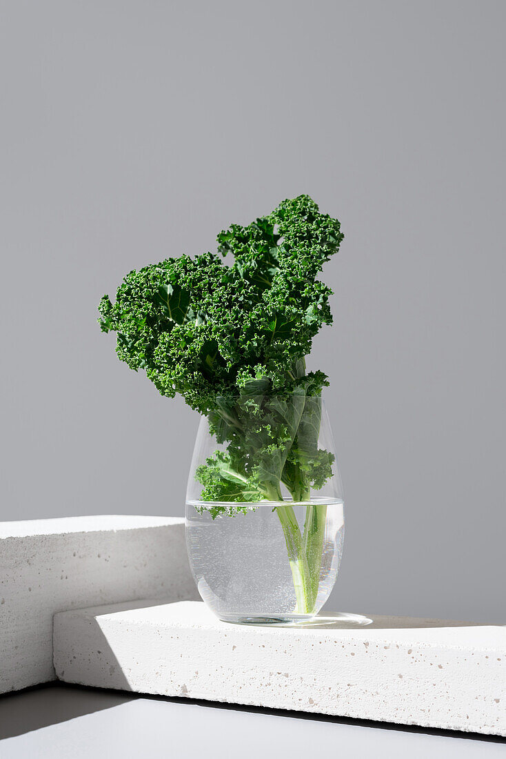 A sprightly bunch of green kale stands submerged in a clear glass filled with water, set against a sleek and contemporary grey background with white stone accents, evoking a clean, healthy lifestyle vibe