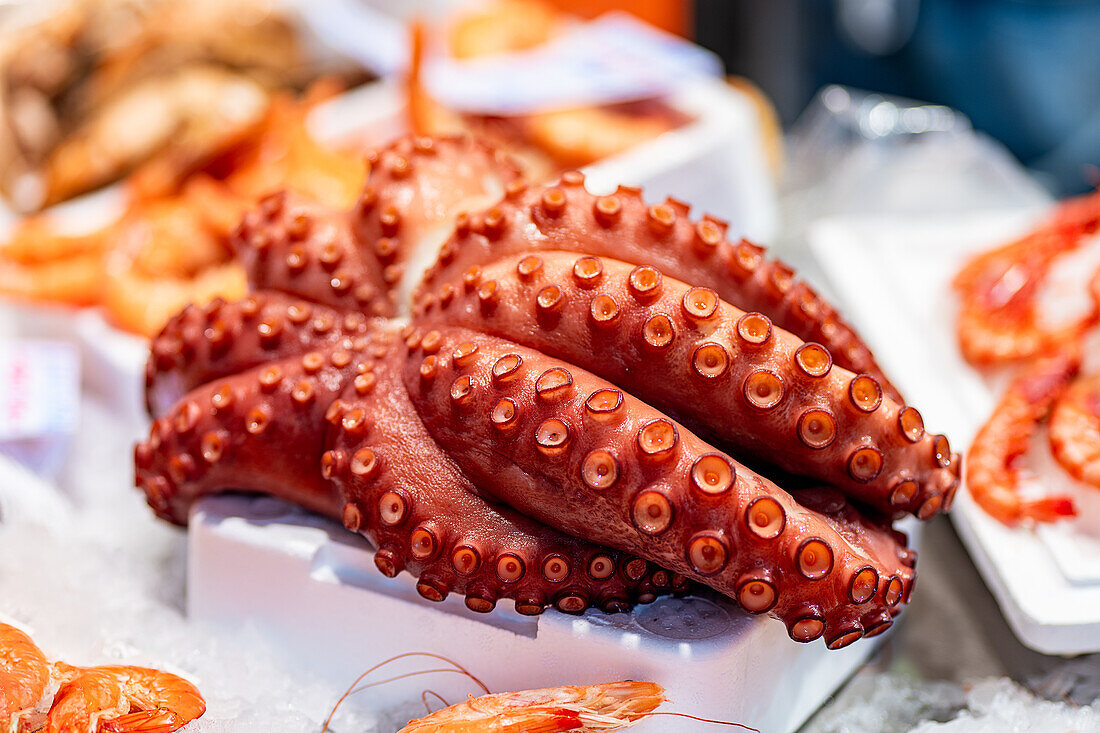 Eine Nahaufnahme eines leuchtend roten Oktopus mit Tentakeln auf Eis, der neben Garnelen auf einem Fischmarkt zum Verkauf angeboten wird