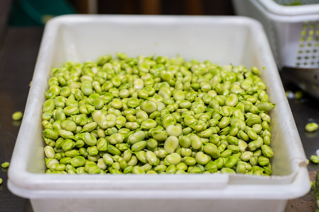 A close-up of fresh, vibrant green broad beans contained in a white bin, showcasing a healthy, raw ingredient