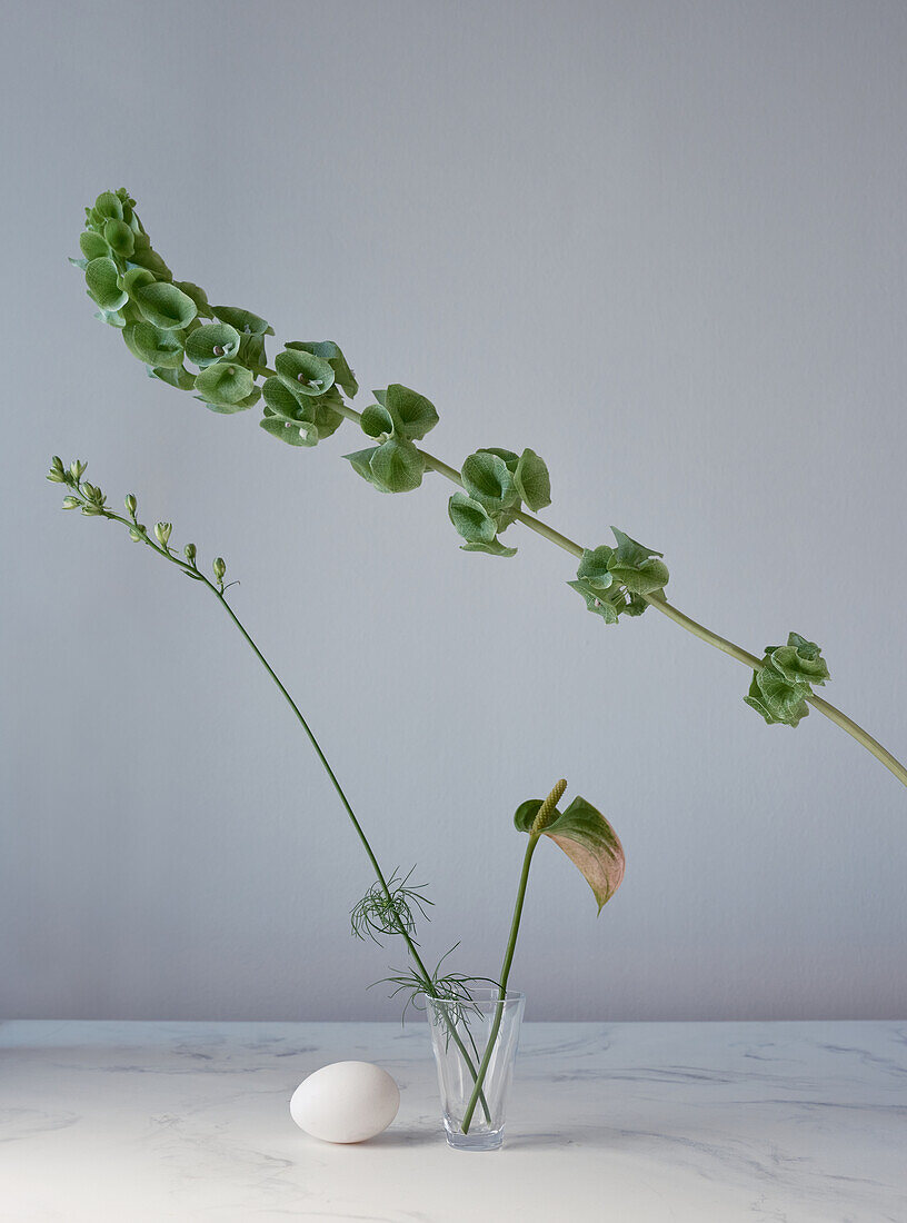 An elegant minimalist composition featuring a vibrant green plant with rounded leaves and budding flowers, complemented by an egg and an intricate clear glass leaf on a marble surface