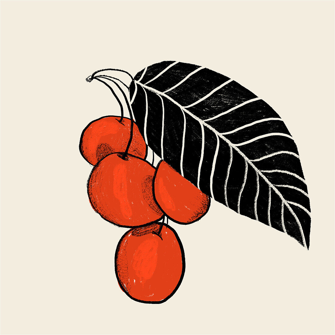 Stylized illustration of ripe red cherries with a large leaf on a light background.