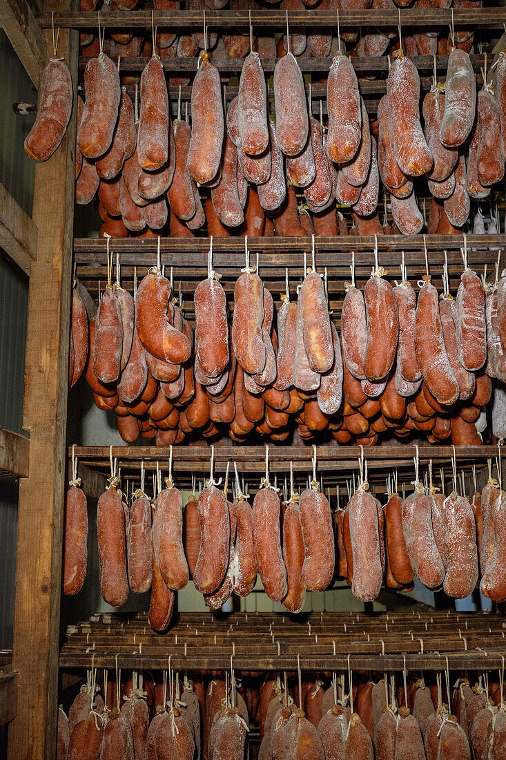 In einem rustikalen, schwach beleuchteten Trockenraum hängen Reihen von Wurstwaren, allen voran die traditionelle Sobrasada. Die Würste sind mit einer weißen Schimmelschicht überzogen, die auf den Reifeprozess hinweist.