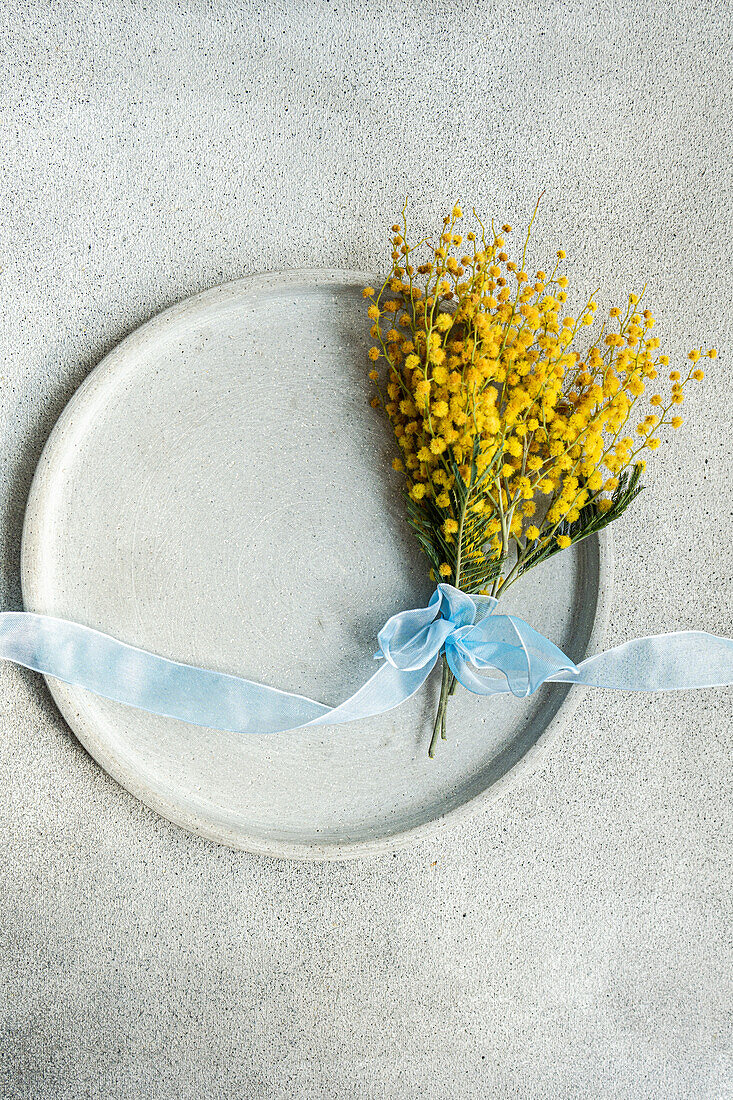 Top view of picturesque bouquet of mimosa flowers, delicately tied with a light blue ribbon, rests on a ceramic plate with a smooth concrete backdrop