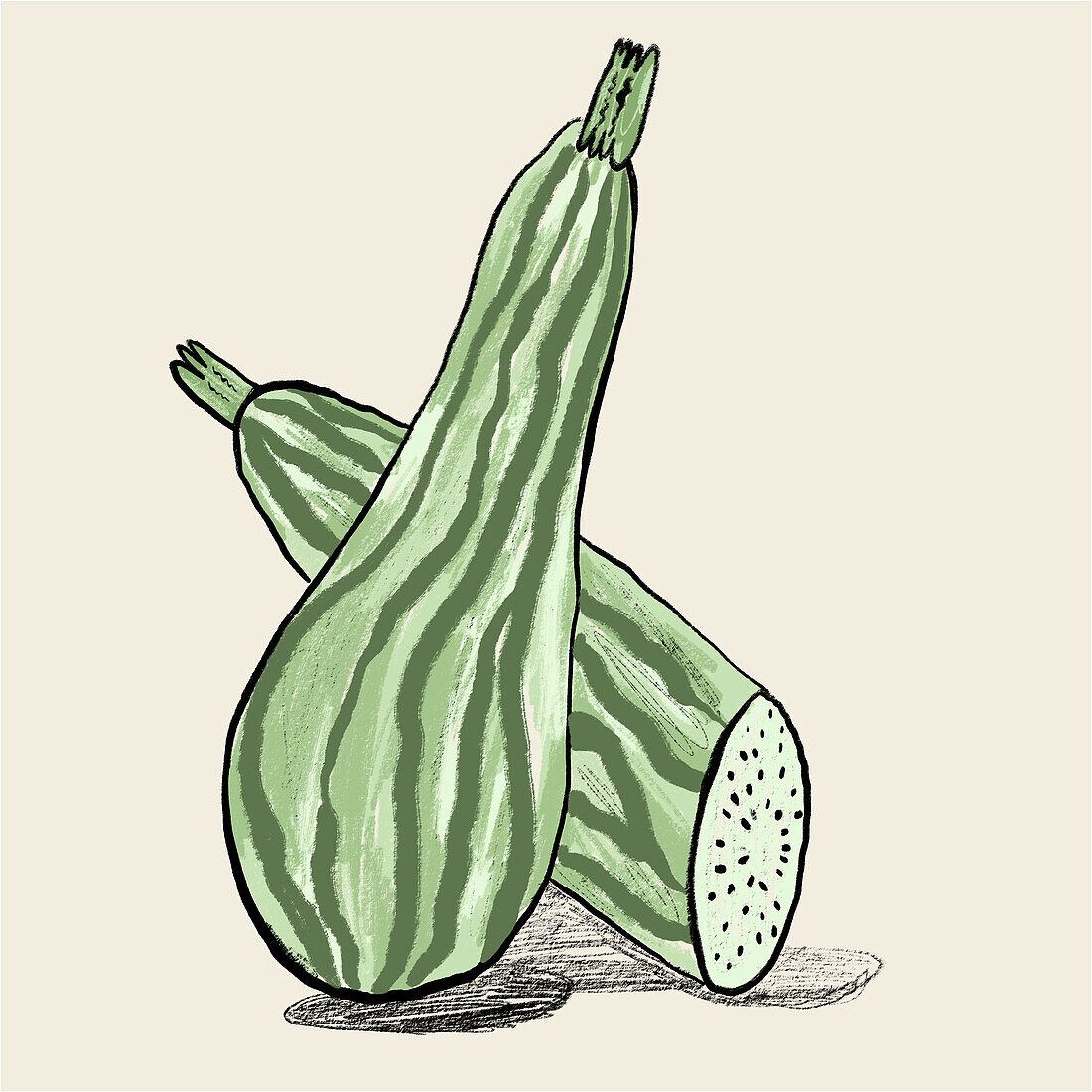 A textured digital drawing showcases a pair of zucchinis, one whole and one sliced, against a neutral beige backdrop.