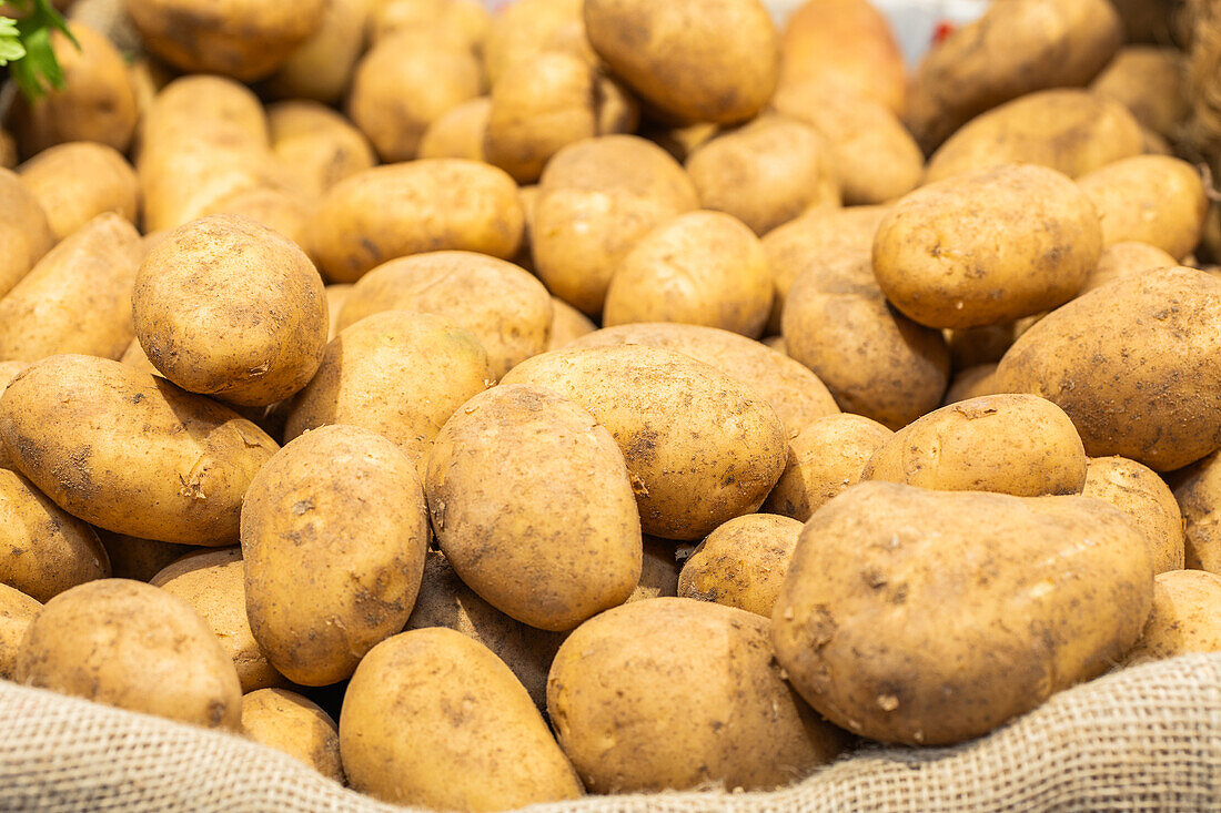 Nahaufnahme eines Haufens frischer, ungeschälter, erdiger Kartoffeln auf einem Sackleinen, wie sie auf einem Markt angeboten werden