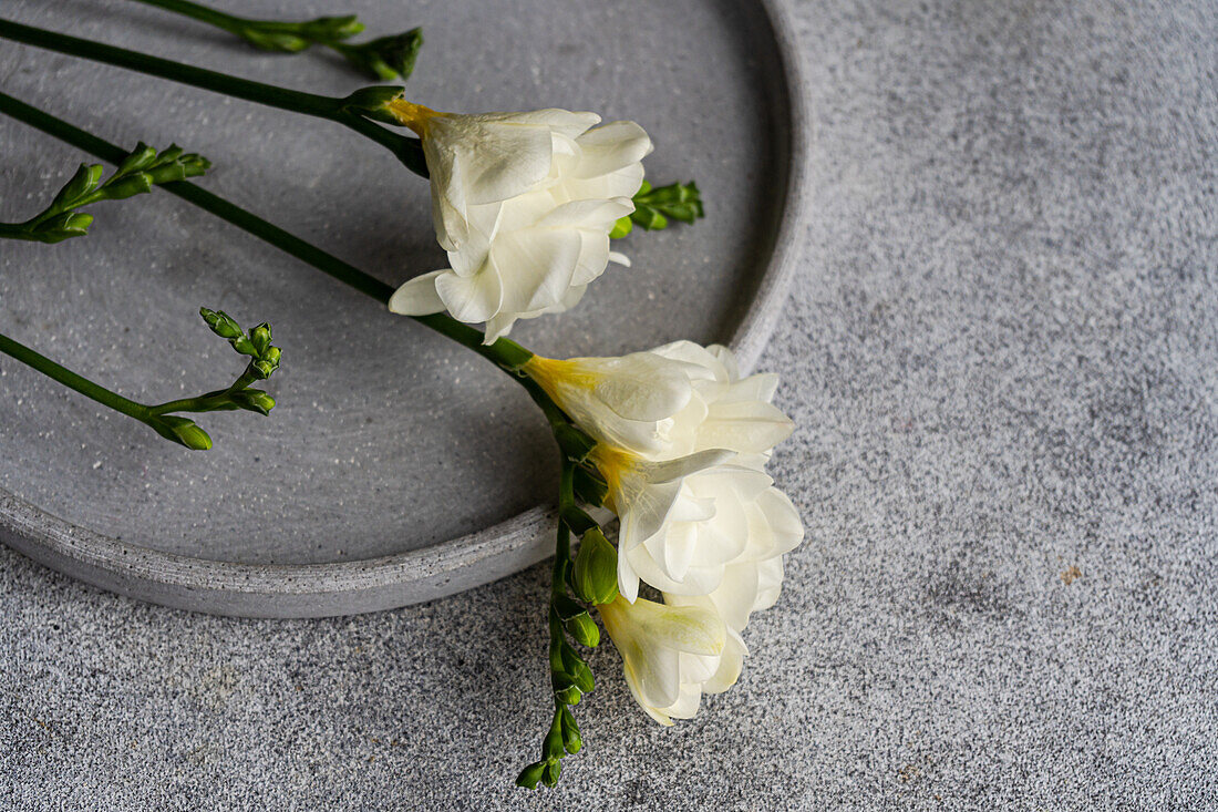 A delicate arrangement of white freesia flowers rests gracefully on a textured gray ceramic plate, evoking a serene and elegant table setting theme