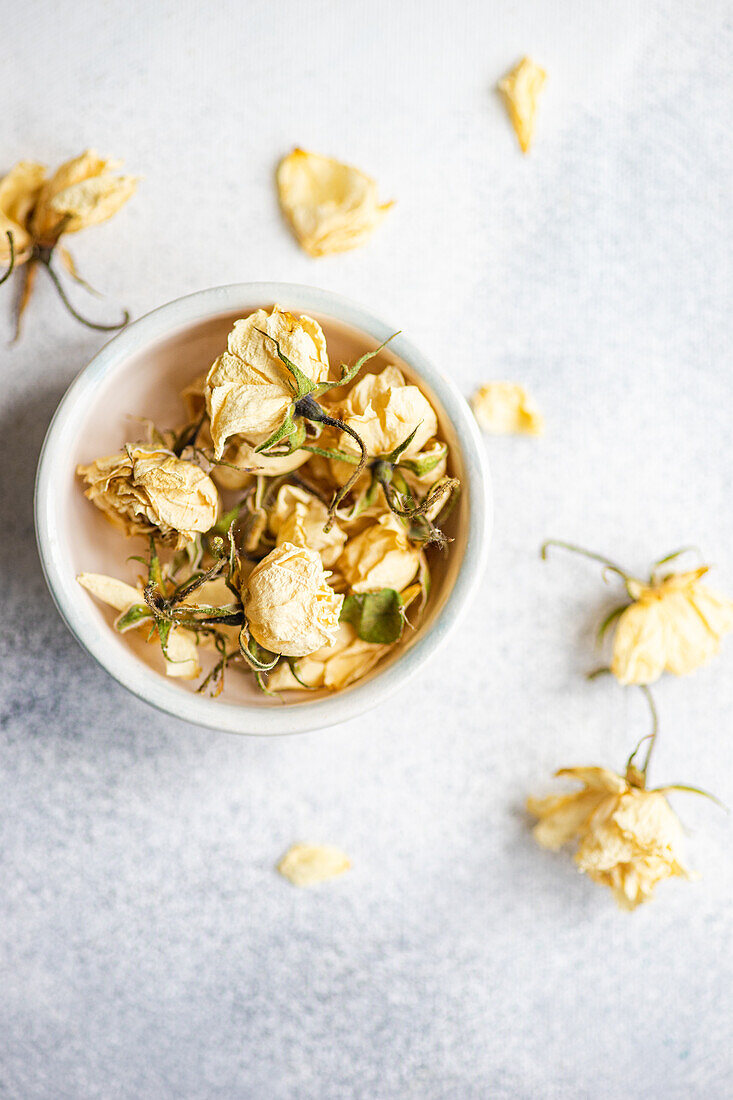 An elegant close-up of withered roses collected in a soft pastel bowl on a textured gray surface, highlighting the beauty of decay and natural textures in decor