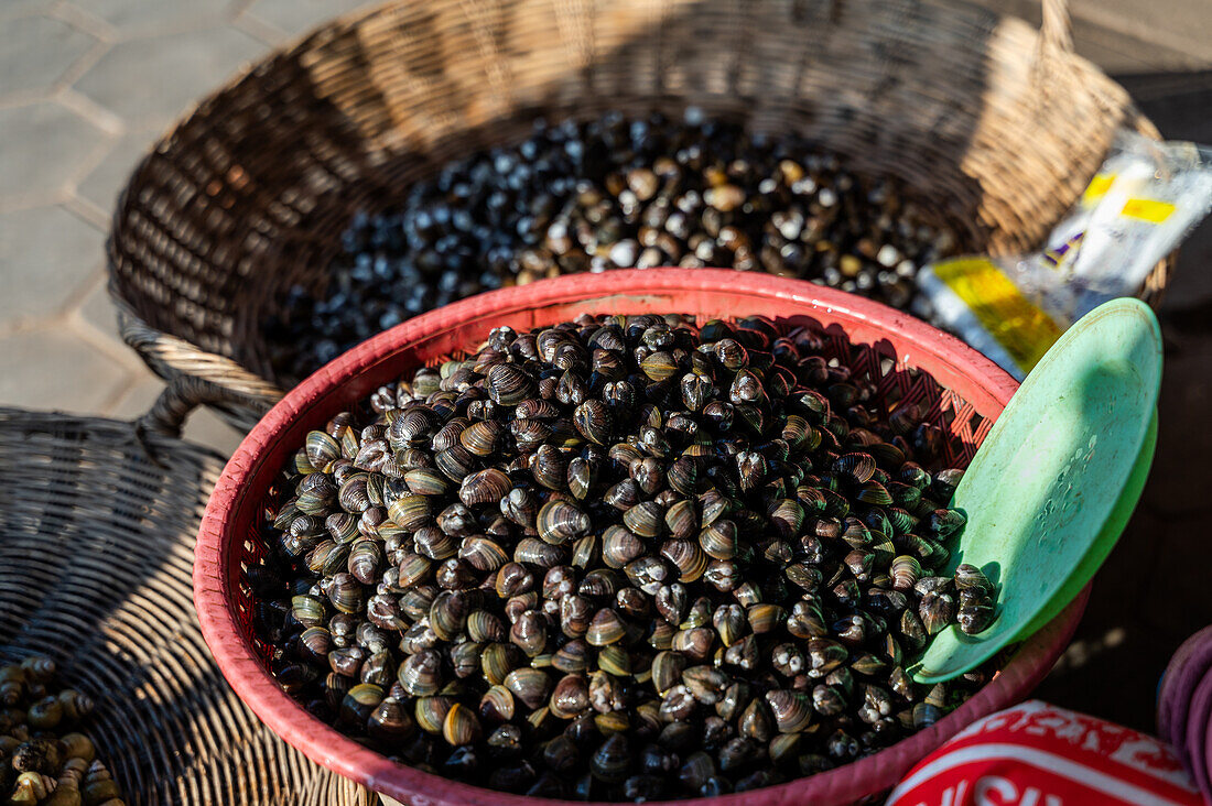 Eine lebhafte Auslage von Süßwasser-Flussschnecken in roten und natürlichen geflochtenen Körben, die typischerweise in den Straßen von Hanoi verkauft werden. Sie sind in der lokalen Küche unverzichtbar und werden in traditionellen Gerichten verwendet.