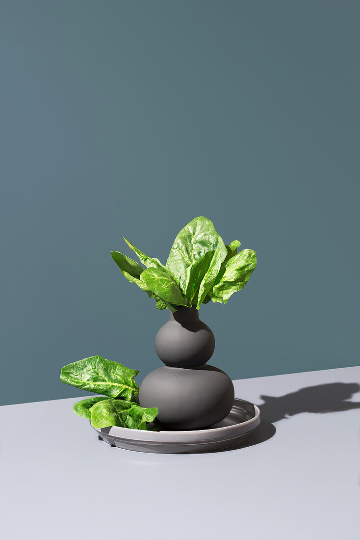 Vibrant green spinach leaves artistically arranged in a modern black vase set against a subtle green background, creating a minimalistic and fresh presentation.