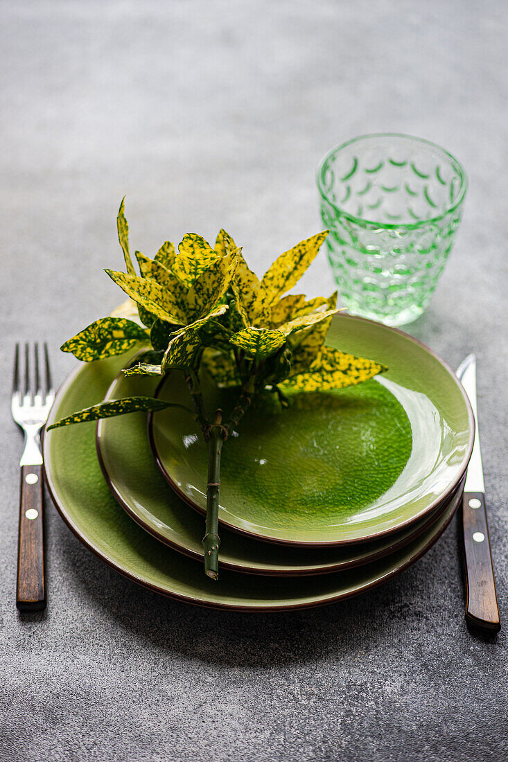 Elegantes Tischset mit hellgrünen Keramiktellern, einer dekorativen Pflanze, Besteck und einem gemusterten Glas auf einer strukturierten Oberfläche.