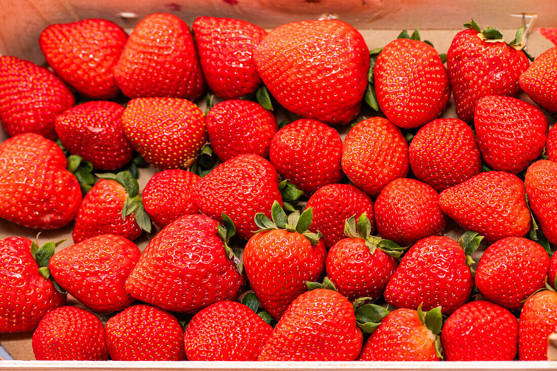 A vibrant display of fresh, ripe strawberries neatly packed in a box, showcasing their bright red color and tempting texture