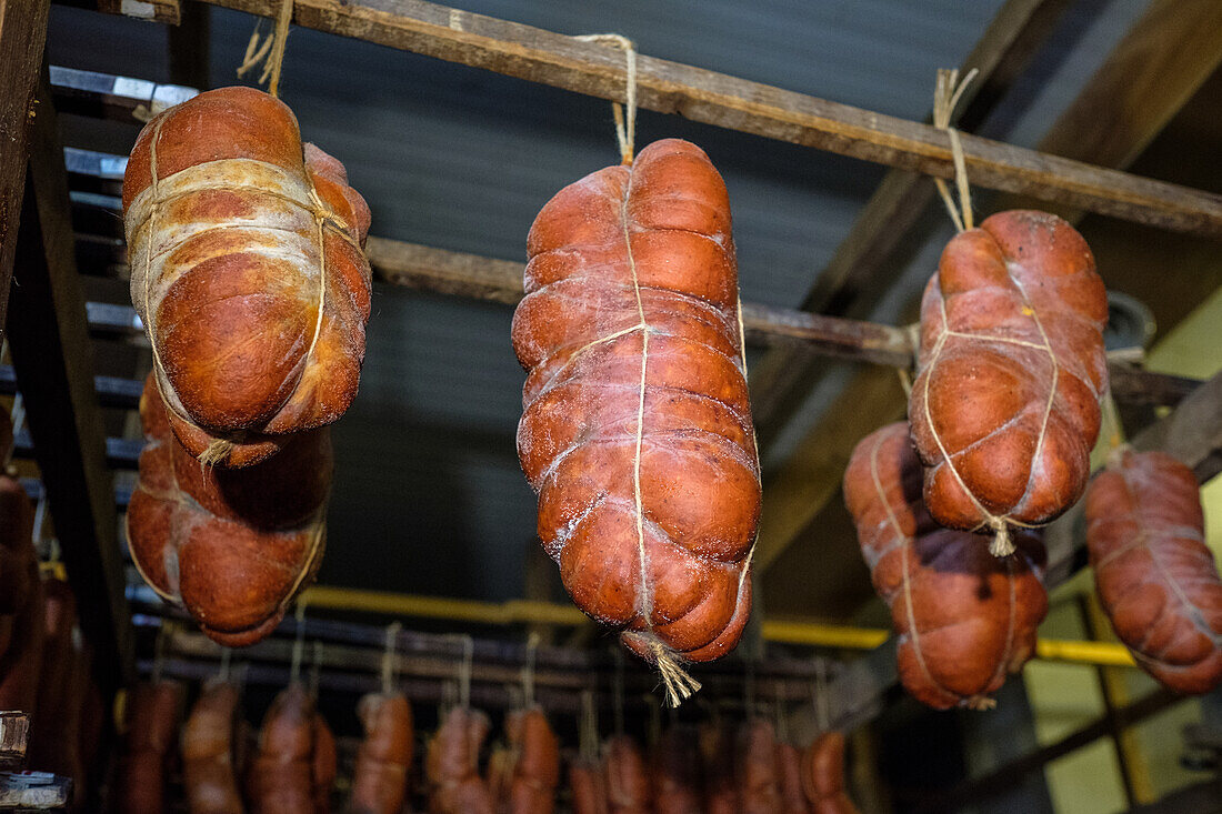 Lebendig und handwerklich authentisch: Dieses Bild zeigt eine Auswahl traditioneller Wurstwaren, darunter die unverwechselbare Sobrasada, die sich durch ihren hellen rötlichen Farbton aus Paprika auszeichnet und in einem rustikalen, schwach beleuchteten Pökelraum hängt.