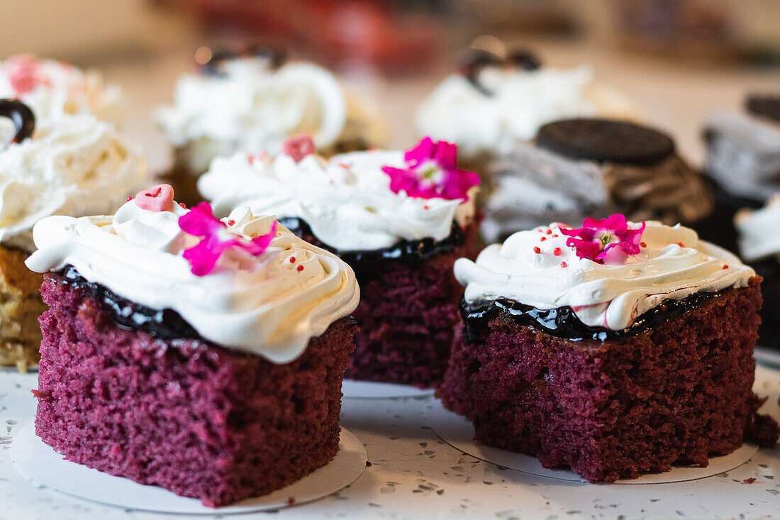 Leckere vegane Biskuitkuchen mit Schlagsahne, garniert mit Blumenknospen, auf einem Tablett in der Backstube