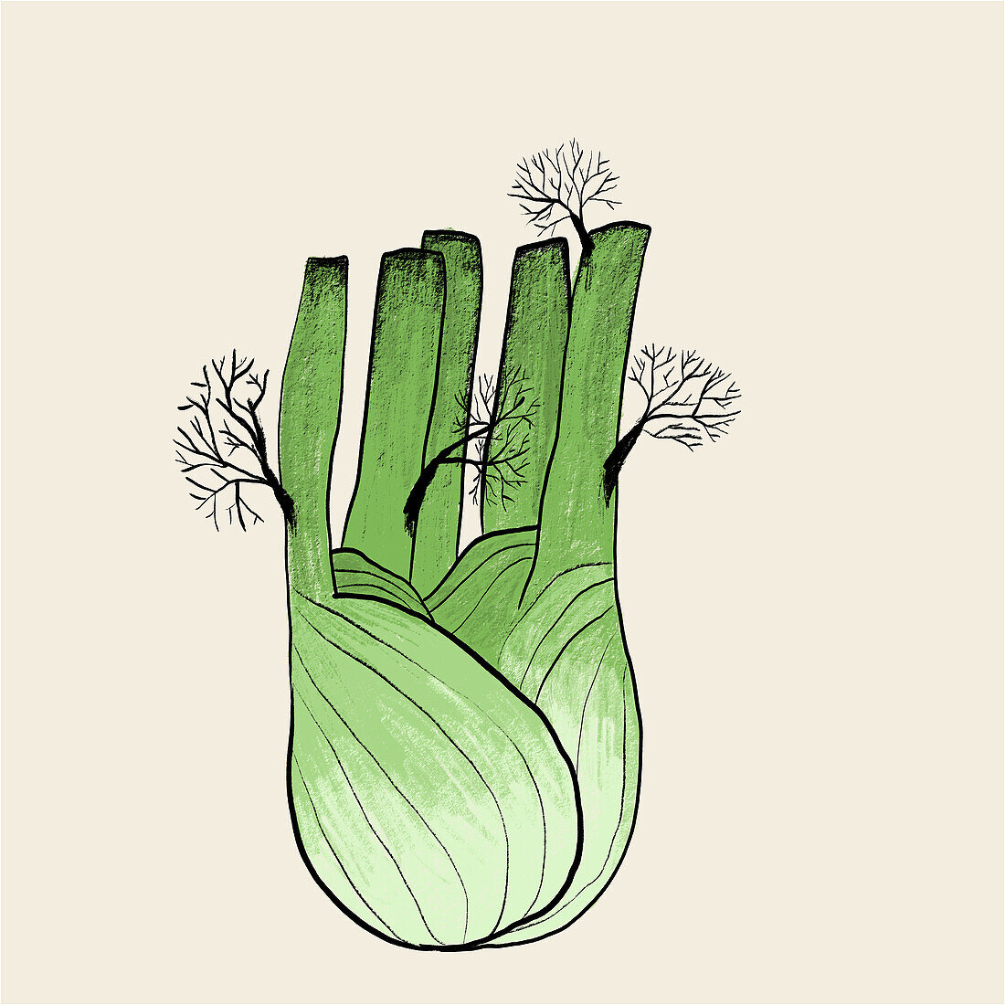 Artistic illustration of a fennel bulb with prominent fronds, depicted in shades of green on a textured beige backdrop.