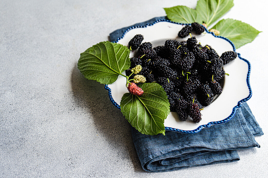 Fresh mulberries, ranging in color from deep black to red, artfully presented on a classic plate with blue edging, accompanied by lush green leaves, all set against a rough-textured grey surface, under natural light.