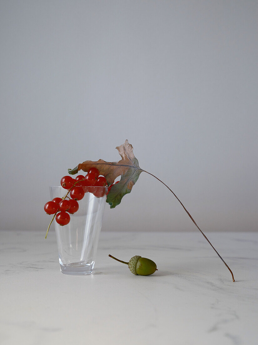 Ein einfacher, aber eleganter Schuss roter Johannisbeeren mit einem Blatt, ästhetisch in einem klaren Glas auf einem Marmorhintergrund platziert, begleitet von einer grünen Eichel