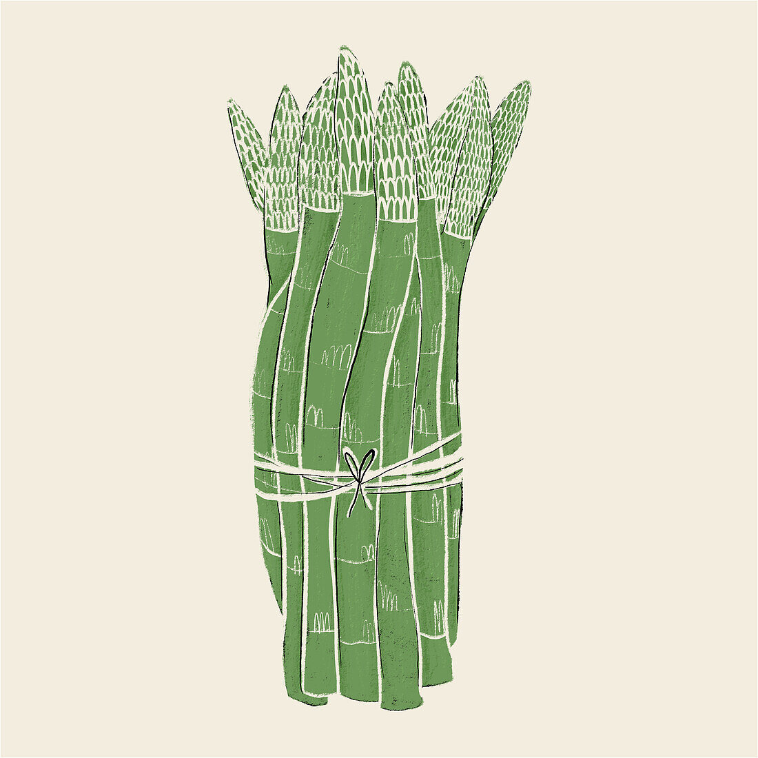 A stylized, hand-drawn illustration of fresh asparagus spears tied together with a string, set on a neutral background.