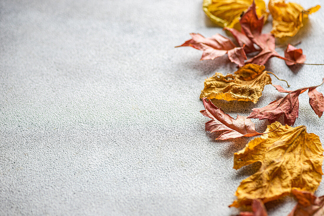 Crisp, dried leaves in shades of yellow and brown are scattered across a textured grey surface, creating a quintessential autumnal flat lay composition