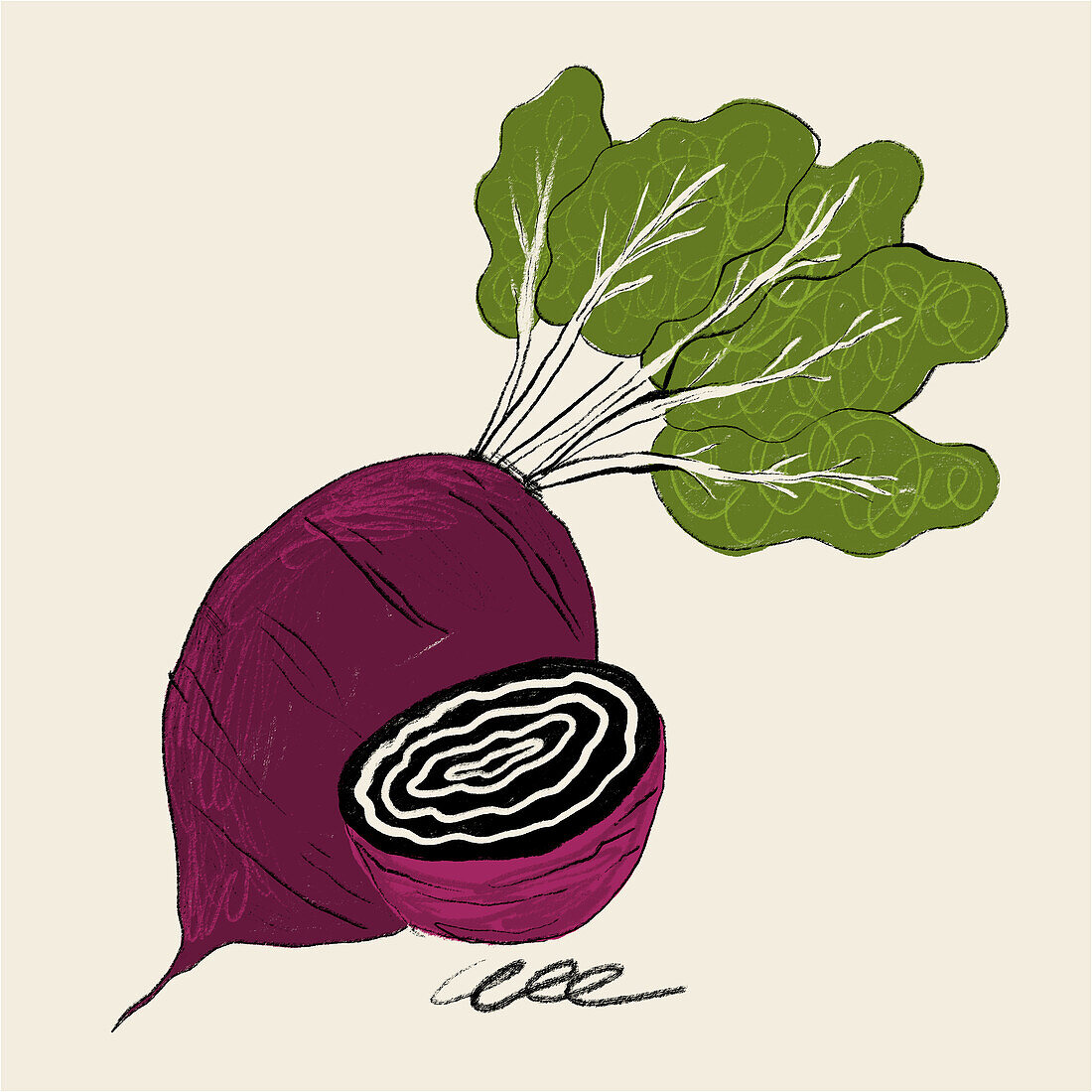 An artistic illustration of a beetroot with vibrant green leafy tops and a detailed cross-section showing its patterned inner rings.