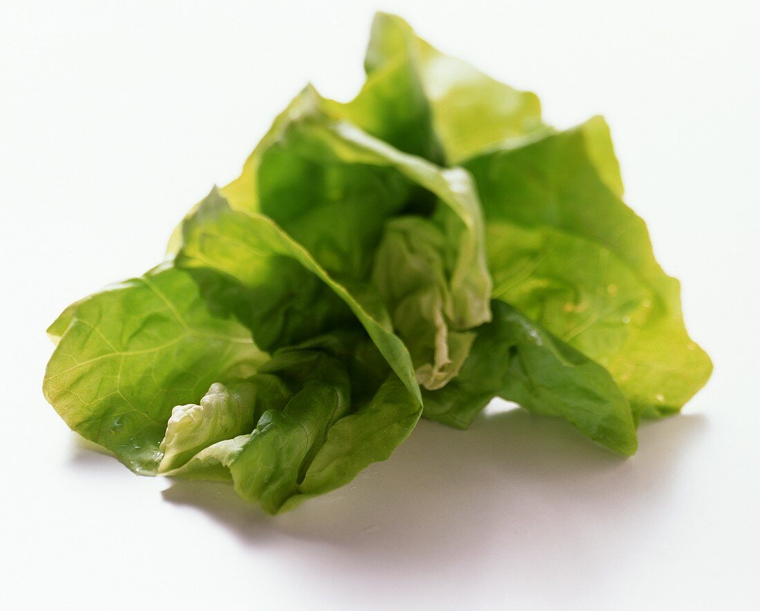 Lettuce leaves