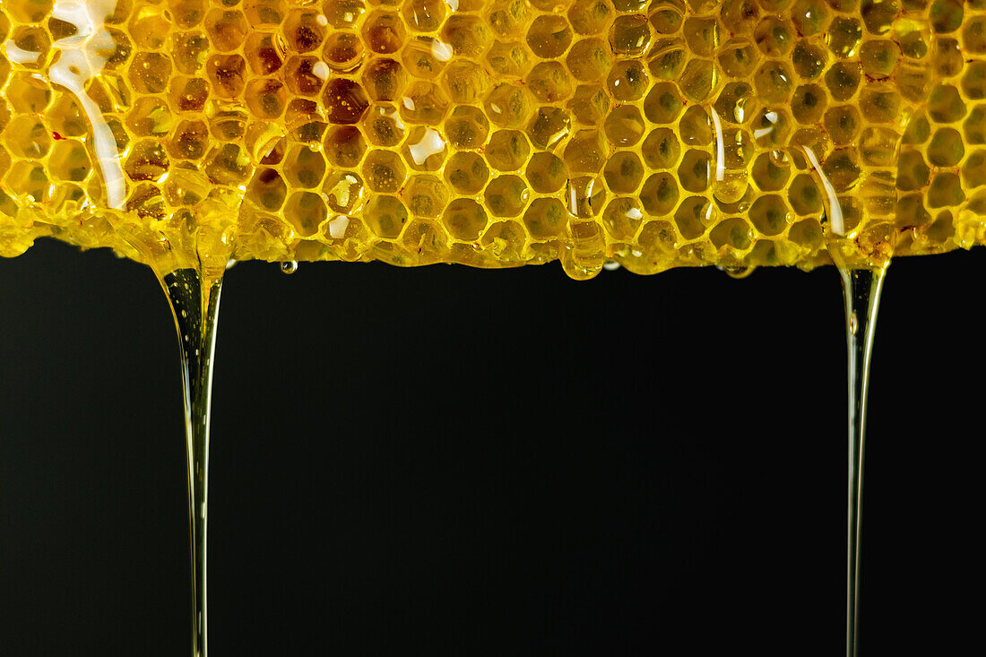 Closeup of yellow honeycomb with sweet liquid honey dripping on black background in studio