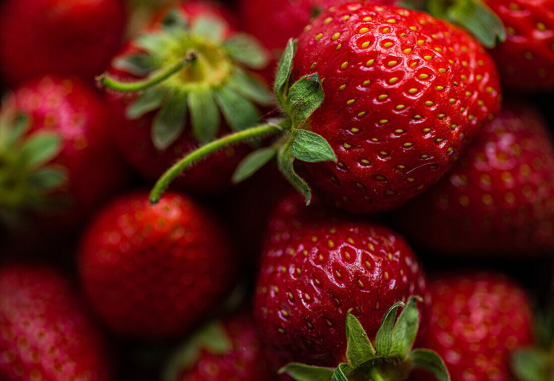 Close-up image showcases a selection of fresh, ripe strawberries with vibrant red hues, captured in natural lighting to emphasize their organic quality